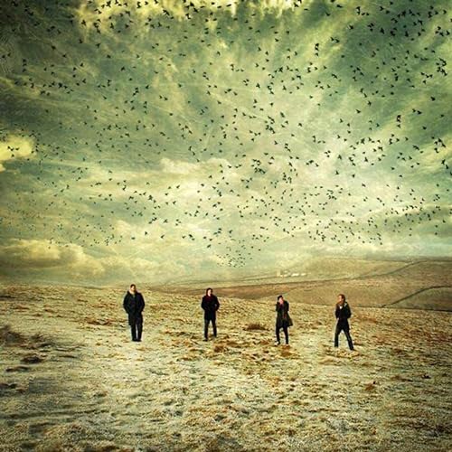 Drive Like I Do cover art