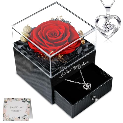 skelo Ewige Echte Rose mit Halskette, Frauen Geschenk Geburtstag, Infinity...