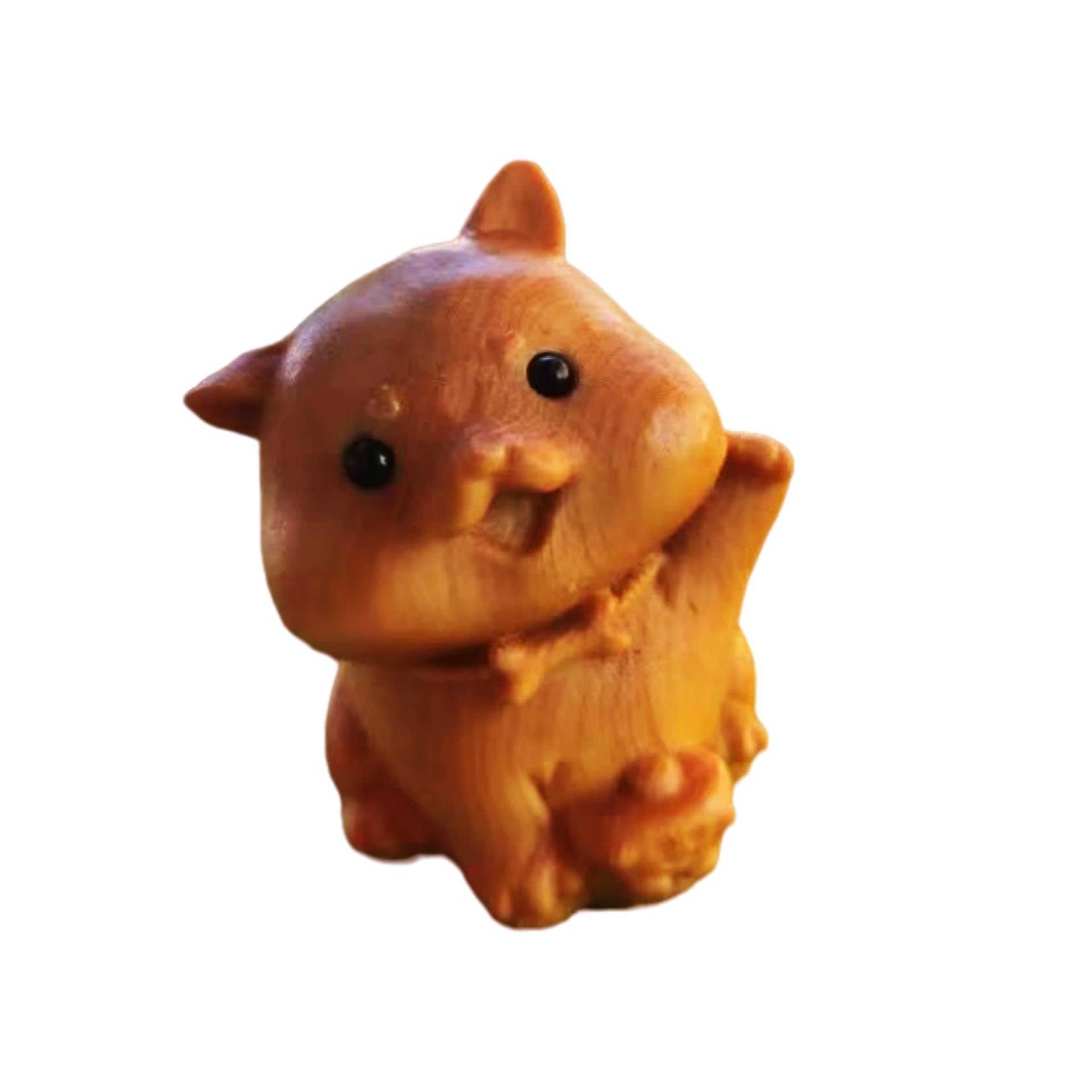 product_img5