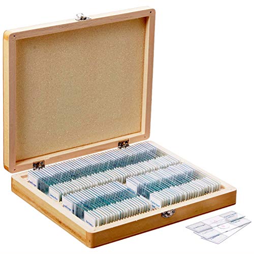 image for AmScope PS100E Basic Biology Prepared Slide Set for Student and Homesc