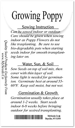 Big Pack Landscape Seeds - Red Poppy Heavy Bloomer Flower Seeds - Papaver Rhoeas By Myseeds.co (Big Pack Red Poppy) #TOP2