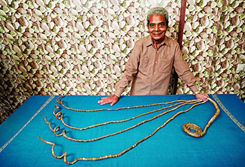 Guinness World Records 2019 - Version Anglaise