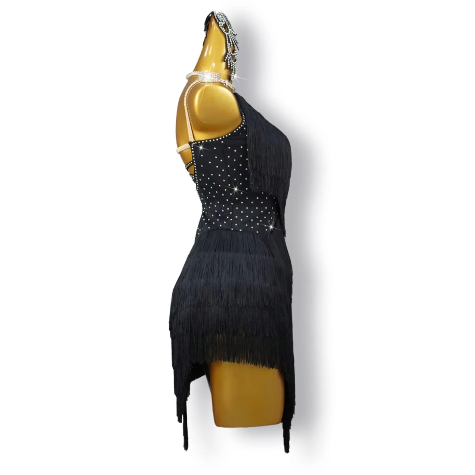 Lateinisches Tanzkleid Damen Fransen Latin Dance Kleider Tanzkleider Damen Fringetango Übungsrock Salsa-Wettbewerbskostüme