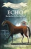 Echo: True Tales From The Horse Show World (The Horses of Haversham Book 1)