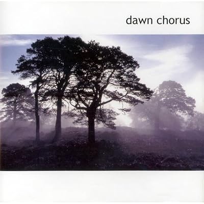Dawn Chorus