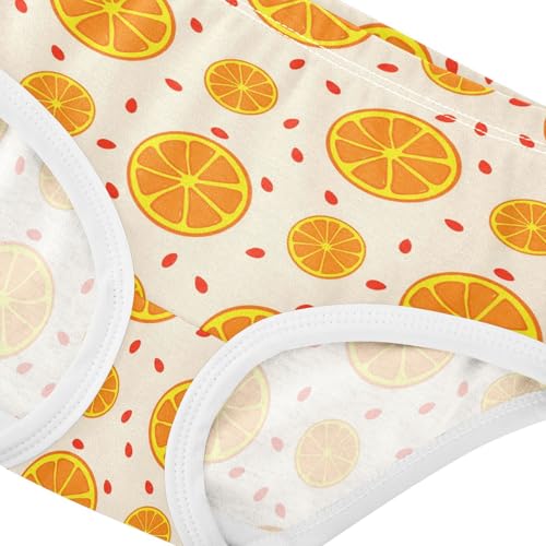 Fruit Orange Yellow Toddler Girls's Underwear 2T 23019014