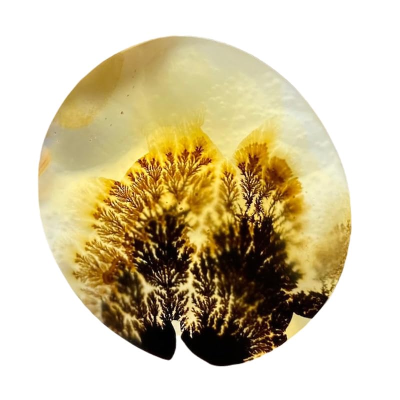 Agate dendritique naturelle cabochon rond 32x29mm pour la création de bijoux uniques