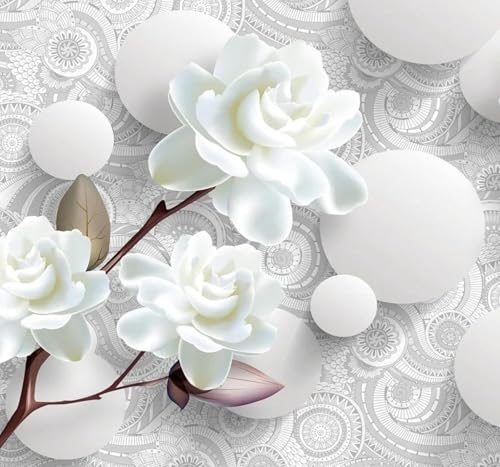 Papier Peint 3D En Trois Dimensions Blanc 400cm×280cm - 5