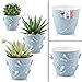 Produktbild uandu 3er Blumentopf Set, 3 Größen, BPA frei Kunststoff Blumenständer fürs Zuhause, Plant Pot, übertopf, Flower Pot, Pflanzkübel, Pflanztöpfe, Blumentöpfe, Blumentopf Gross, Pflanzentopf Groß