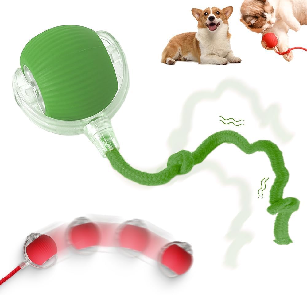 Interactive 2025 Upgraded Version Dog Cat Toy Intelligent Automatic Rolling Ball Green