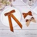 3PCS Velvet Hair Bow Brown Hair Ribbon Clips for women Girls Fall Alligator Hair Clips Hair Accessories Toddlers Kids Teens