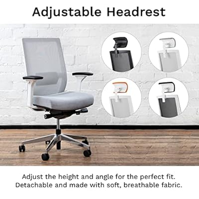 EasyErgo Apollo Ergonomic Chair - Ergo Mesh Design for Computer Desk Work - Comfortable Office Chair with Detachable… 51H2qurb2iL. SS400