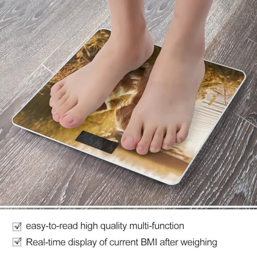 Báscula digital para baño con diseño de dos golden retrievers miniatura 5