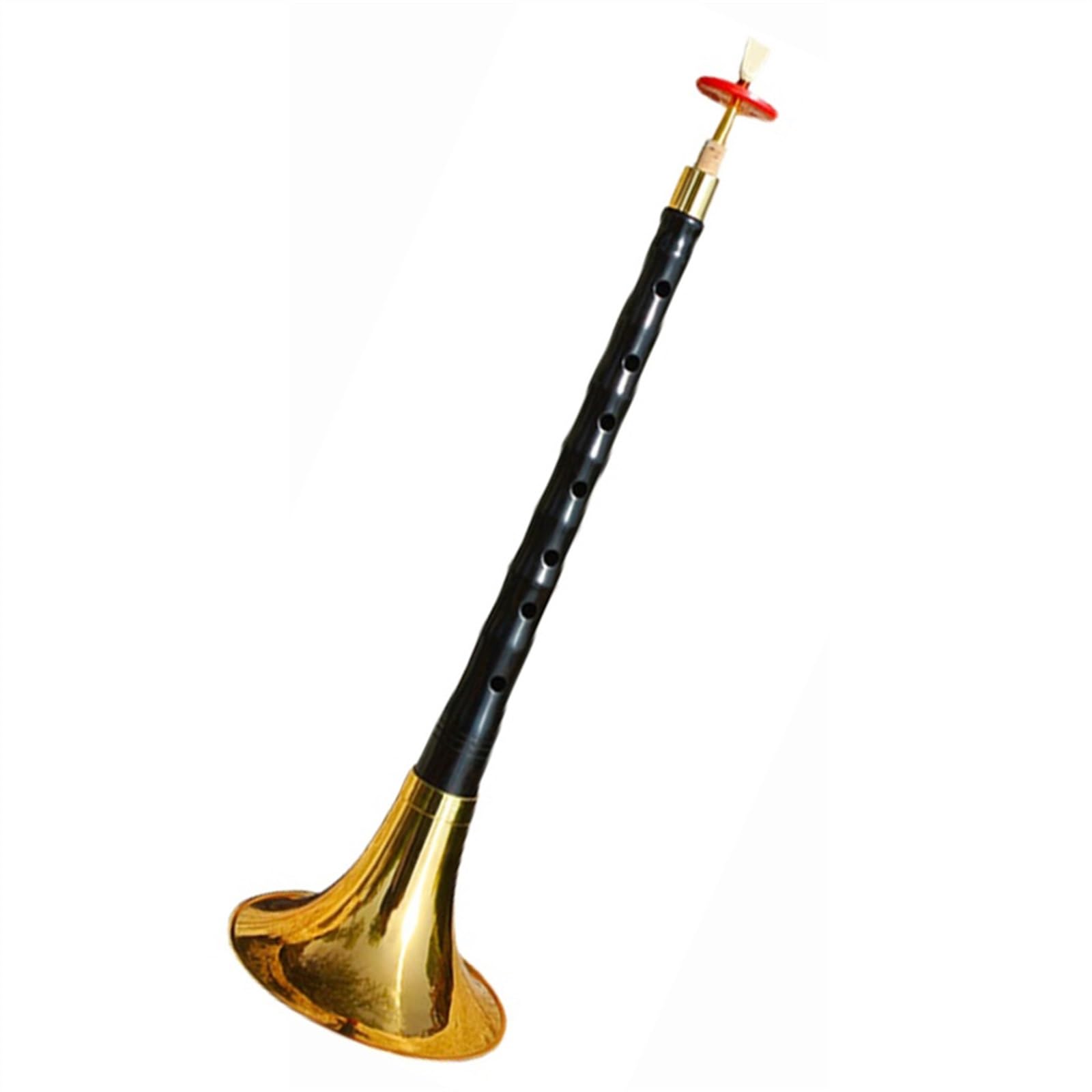 Juego De Instrumentos Musicales Suona, Grado De Juego Profesional, Folk Suona, Adulto, Principiante Suona para Principiantes (Color : Minor G key)