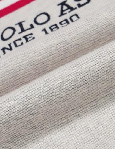 Image of U.s.Polo Association Men's Brand Patterned Knit Regular fit Sweater