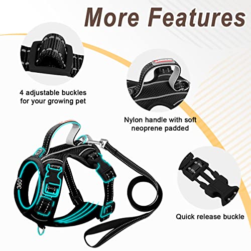 Cat Harness And Leash Set For Walking Escape Proof For Small Large Cat Kitten Harness With Id Tag Pocket (Black,Xs) #TOP6