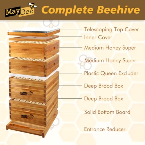 MayBee 10-Frame Langstroth Beehive Dipped in 100% Beeswax, Complete Bee Hives and Supplies Starter Kit Includes 2 Deep Hive Bee Box and 2 Bee Hive Super with Beehive Frames and Foundation