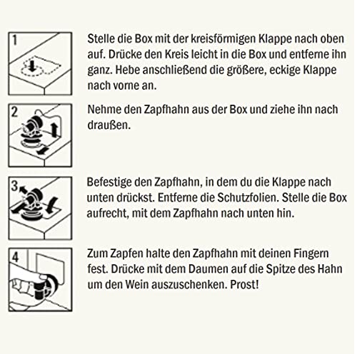 Freixenet Mia Rosado Bag-in-Box (1 x 3,0 l) Spanischer Roséwein in Großpackung; halbtrocken; jugendlich lebendig und fruchtig-frisch im Geschmack; zu Meeresfrüchten, Fisch