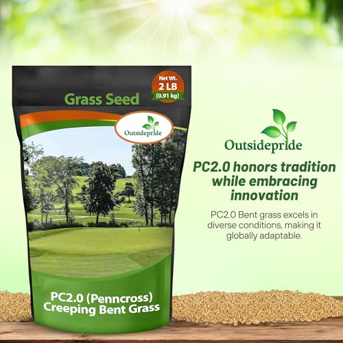 image for Outsidepride 2 lb. PC2.0 (Penncross) Golf Creeping Bent Grass Seed for