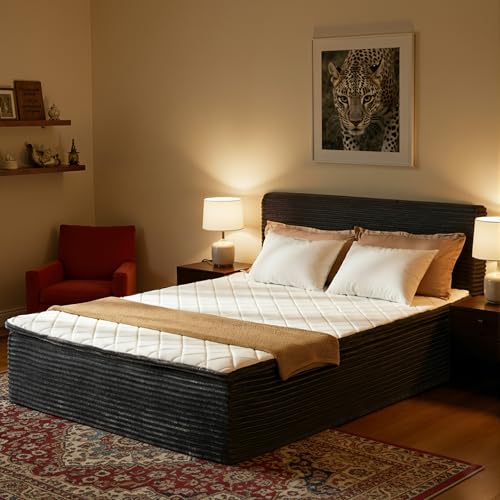 weaxty W All-in-One Queen Bed & Detachable Headboard & Mattress Set Modern 16.7 Low Profile Velvet Upholstered Cloud Bed No Assembly Required Medium Firm Hybrid Mattress Bed in a Box Gray