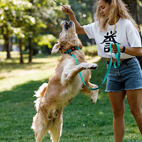 CollarDirect Reflective Dog Collar for a Small Medium, Large Dog or Puppy with a Quick Release Buckle - Image 2
