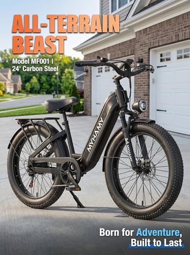 sepado 2000W Electric Bike