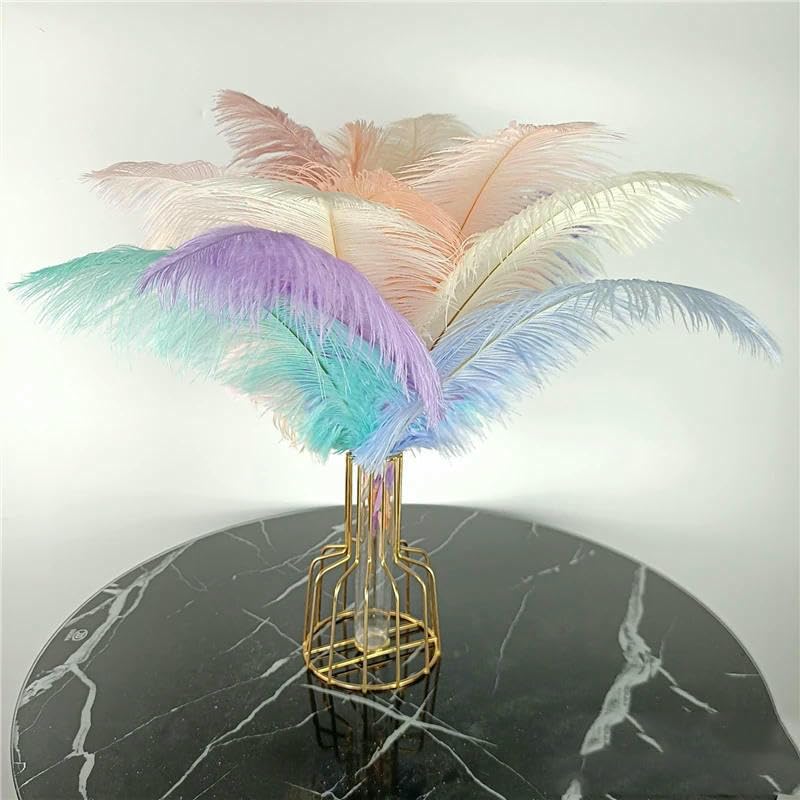 10 pezzi/lotto piume di struzzo per artigianato fotografia puntelli gioielli sfondo fai da te decorazione festa di nozze accessori acchiappasogni-arancione-35-40 cm 14-16 pollici