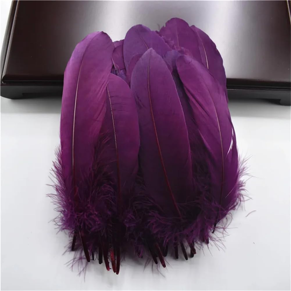 Natural Pheasant Feathers, Natural Goose and Pheasant Feathers, Craft, Pack of 50, Multicolor, 5-7.2 inches