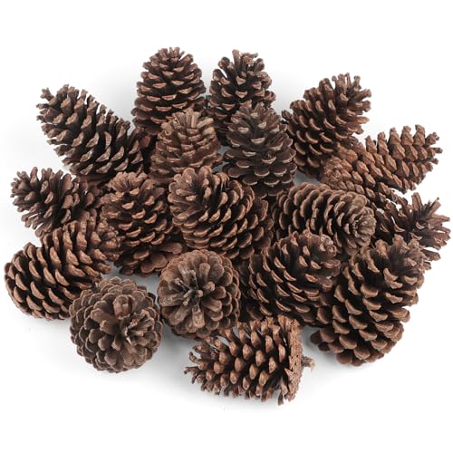 18 Stück Natürlich Getrocknete Tannenzapfen Natürliche Tannenzapfen...