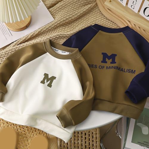 Toddler Boys Color-Block Sweatshirt Long Sleeve Crewneck Pullover Tops with Embroidered Letter Print3