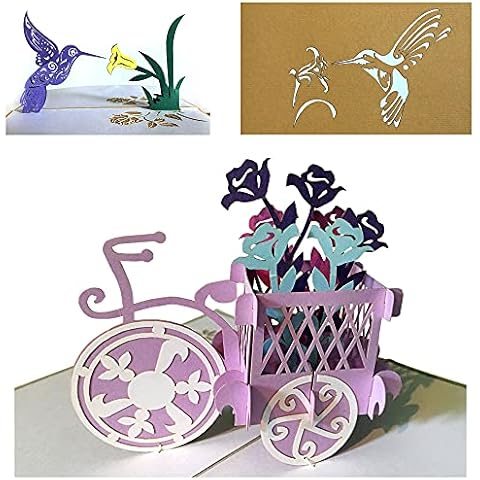 Sunne Tropical (2 Cards) Pack 3D Pop Up Flower Card 5.75 Inch Greeting Card - Birthday All Occasion Blank Notecards (Bicycle Flower/Hummingbird) Cover