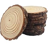 Natural Wood Slices 10 Pcs 4