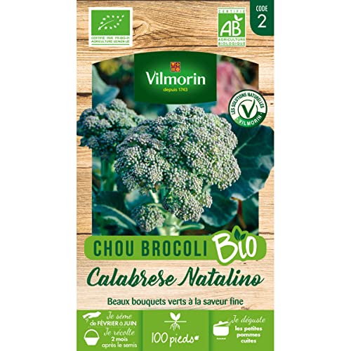 Chou Brocoli Calabrese Natalino - BIO