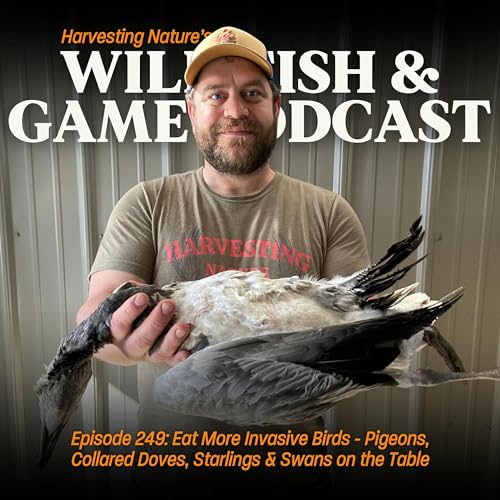 Episode 249: Eat More Invasive Birds - Pigeons, Collared Doves, Starlings & Swans on the Table