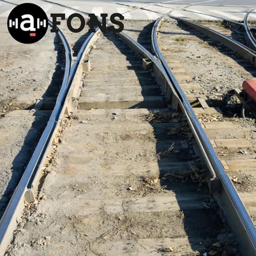 Ets de tramvia? cover art