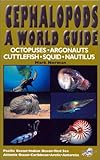 Cephalopods: A World Guide