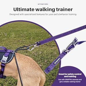 Heavy-Duty-Tactical-Dog-Leash-for-Medium-and-Large-Dogs-6-in-1-Hands-Free-Dog-Leash-for-Training-4-7FT-Long-Dog-Leash-Waist-Leash-for-Dog-Walking-Green-Moss-Green - Cucciolini Doodles Heavy-Duty-Tactical-Dog-Leash-for-Medium-and-Large-Dogs-6-in-1-Hands-Free-Dog-Leash-for-Training-4-7FT-Long-Dog-Leash-Waist-Leash-for-Dog-Walking-Green-Moss-Green