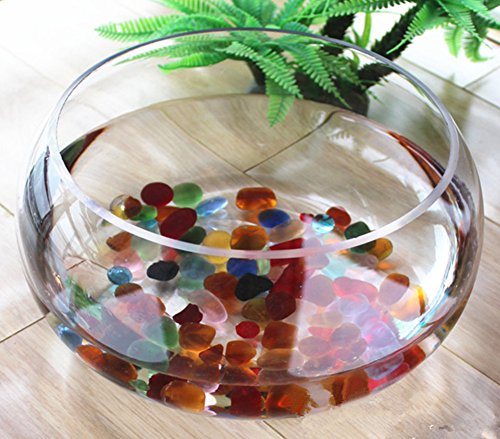 Moyishi Mini Decorative Clear Bubble Bowl Glass Fish Vase Water Planter Vase (16Cm) #TOP5