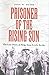 Prisoner of the Rising Sun: The Lost Diary of Brigadier General Lewis Beebe (Texas A & M University Military History Series) (Volume 103)