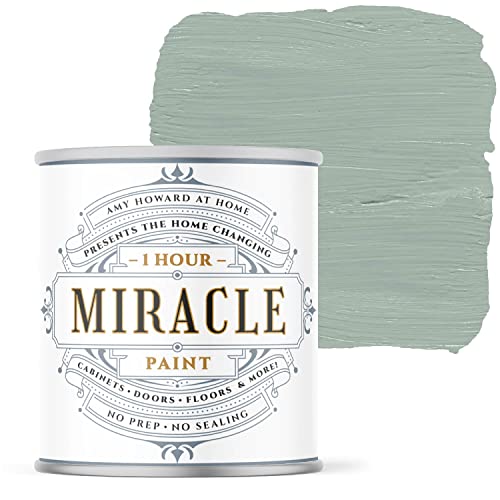 AMY HOWARD AT HOME One Hour Miracle Paint - Water-Based Enam...