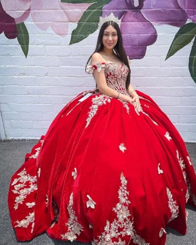 Ftupza Velvet Quinceanera Dresses with Gold Embroidery Applique Off Shoudler Butterfly Ball Gown for Sweet 15 16 Dresses2