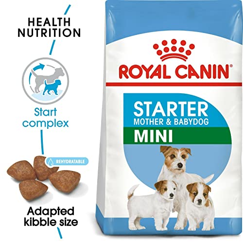 Royal Canin Mini Starter Mother & Babydog | 4 kg | Alleinfuttermittel für kleine Hunde | Trockenfutter für Hündinnen im letzten Drittel der Trächtigkeit und während der Säugezeit
