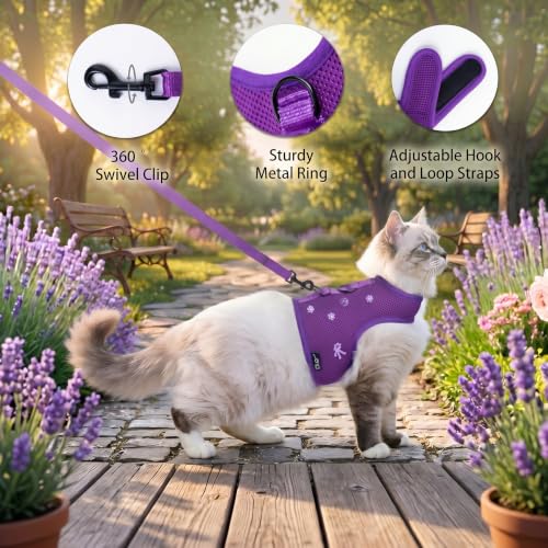 Image of Cat Harness and Leash for Walking Escape Proof Breathable Mesh Fabric, Purple, Medium, Adjustable Cat Walking Jackets, Padded Stylish Cat Vest