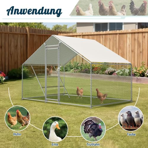 Gallinero con escalera de asiento – 3 x 2 m transitable aviario con cubierta de polietileno UV y cerradura de seguridad, para palomas y gallinas