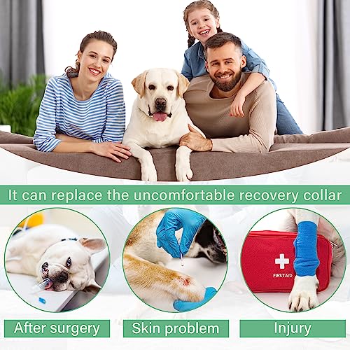 Image of Etdane Recovery Suit for Dogs Surgery Suit Female Spay Dog Surgical Recovery Suit Male Dog Onesie for Surgery Female Anti Licking Wounds Dog Shedding Suit Orange /X-Small