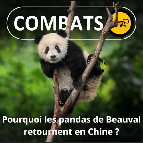 S05E33 Les dessous du retour des pandas du zoo de Beauval en Chine