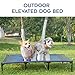 suddus Elevated Dogs Bed Waterproof Outdoor, Portable Raised Dog Bed, Dog Beds Off The Floor, Dogs Bed Easy Clean Indoor or Outdoor Use, X-Large, Blue