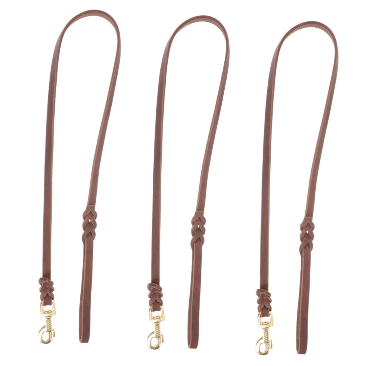 Sosoport 3piezas Correa De Perro Portátil De Resistente para Paseos Diseño De Hebilla Adecuada para Perros y Longitud