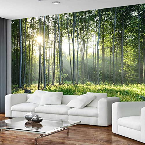 Reyhui Sunshine Forest Mural Wallpaper Landscape Tree Wallpaper Large Nature
