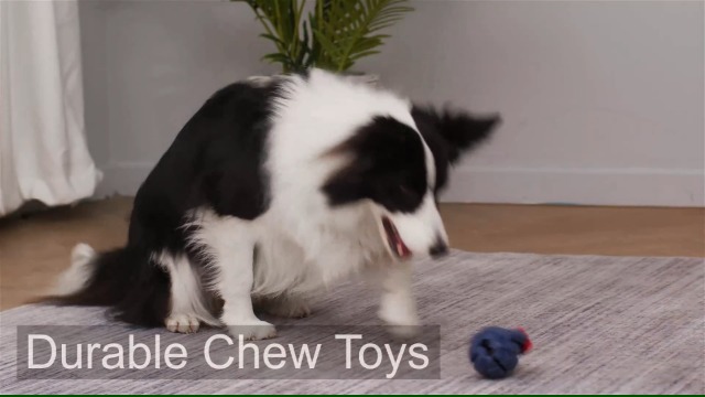 JazRvr Unzerstörbares Hundespielzeug - Oxford Stoff Kuscheltier 19x24cm